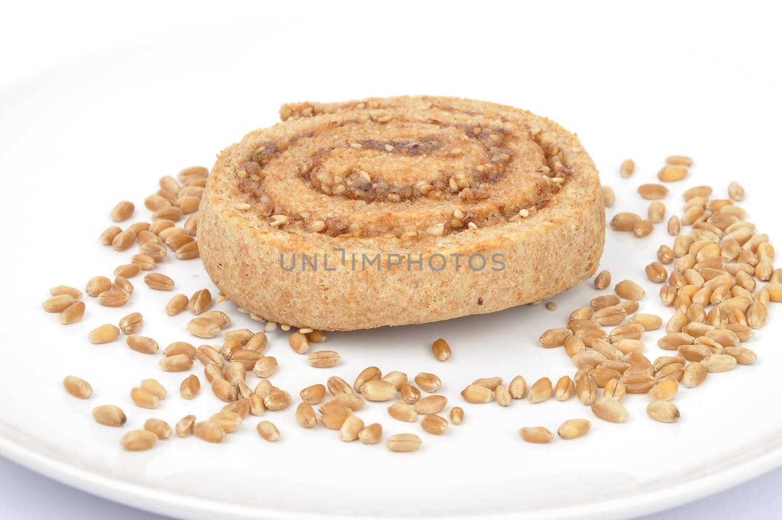 Hazelnut snail