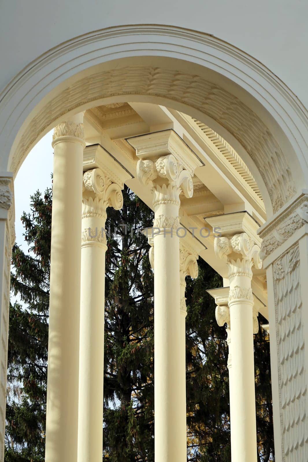 exhibition building pavilion rabbit at ENEA in Moscow