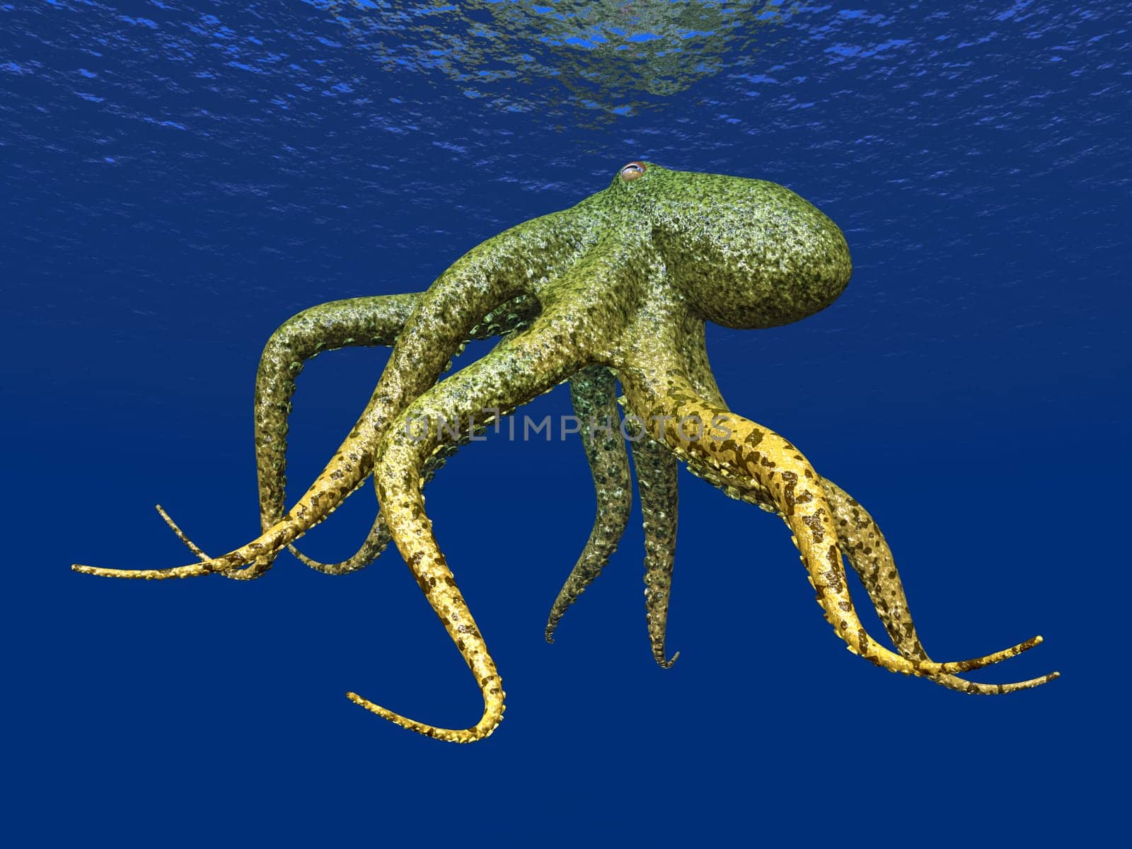 Computer-generated 3D illustration with an octopus