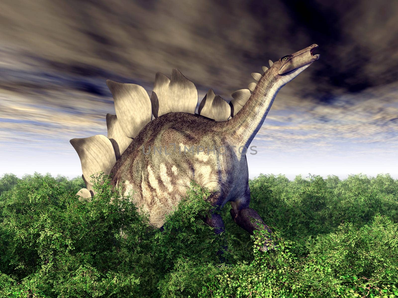 Computer-generated 3D illustration with the dinosaur Stegosaurus