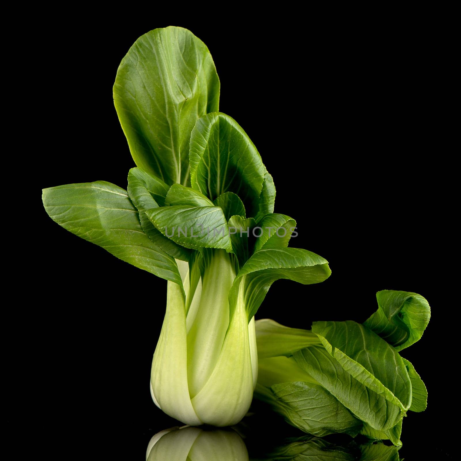 Pak choi on black background.