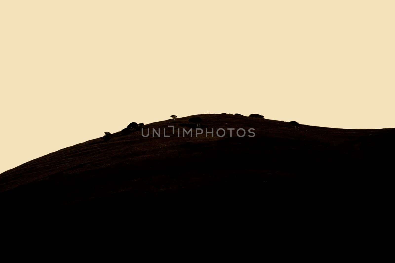 The silhouette and coloring of the grass-covered hills near Carmel in Southern California with small gnarled and round trees.