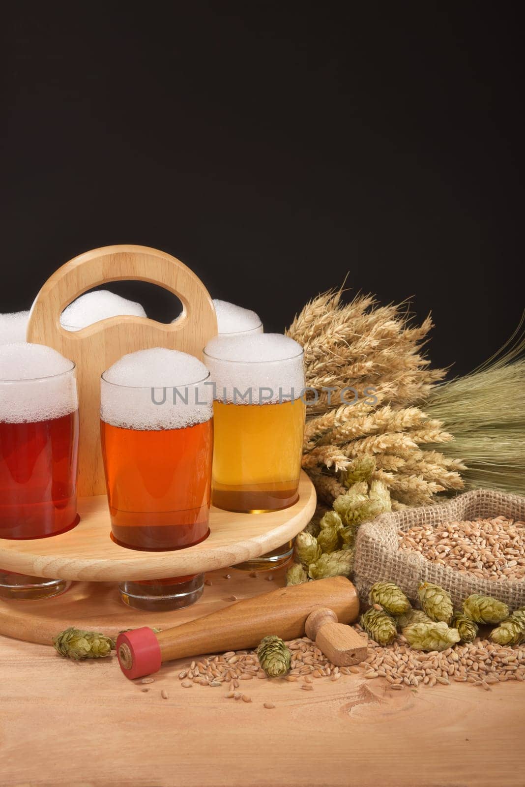Beer carriers and beer glasses with wheat,barley,hops and malt