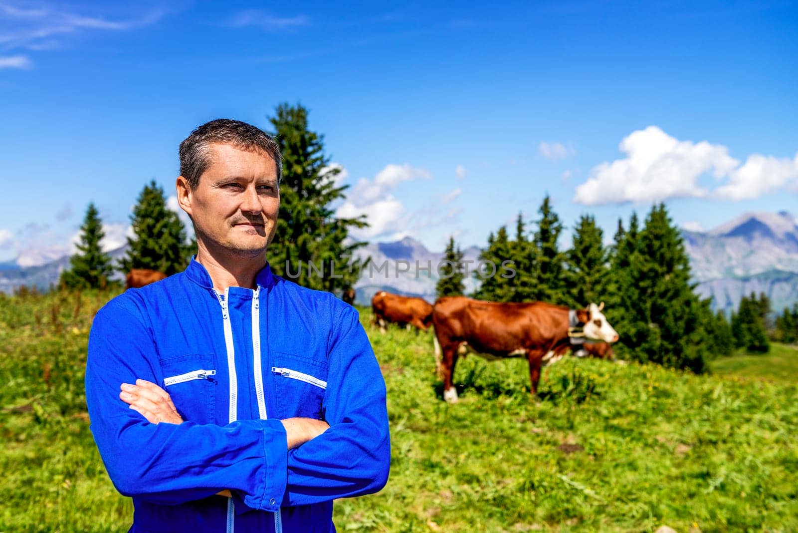 Herdsman standing in front of cows in alpine mountains