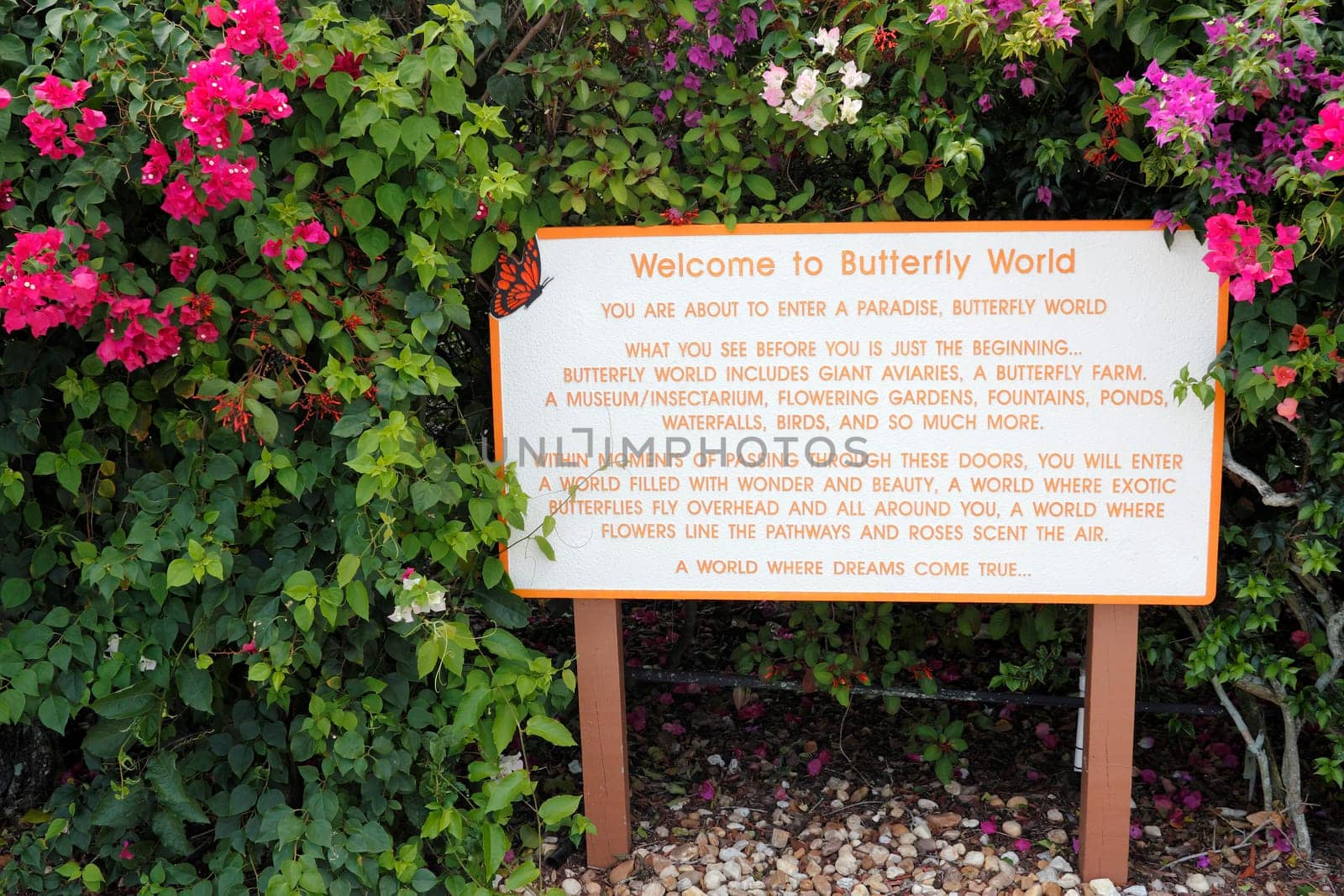 Coconut Creek, FL, USA - July 21, 2015