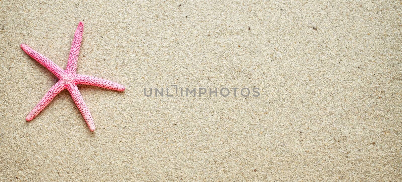 Sea shells on sand. Summer beach background. Top view. place for text