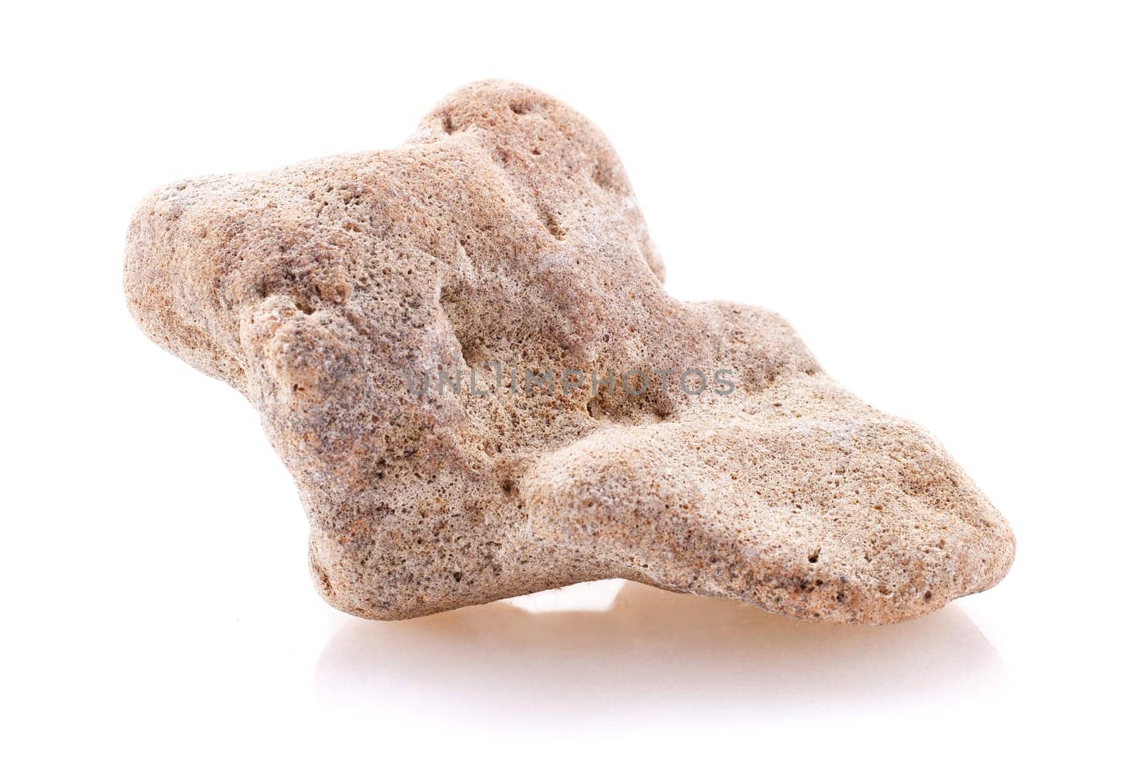 sea Stone isolated on a white background