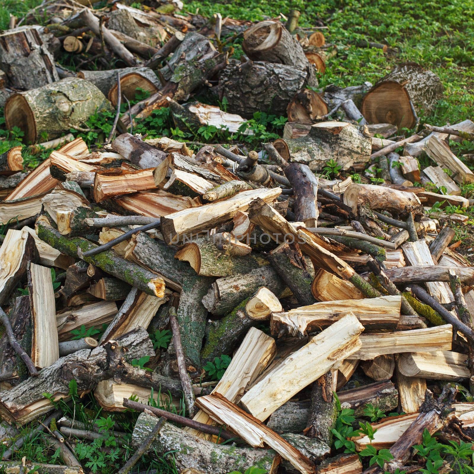 Stack of firewood in garden on the grass