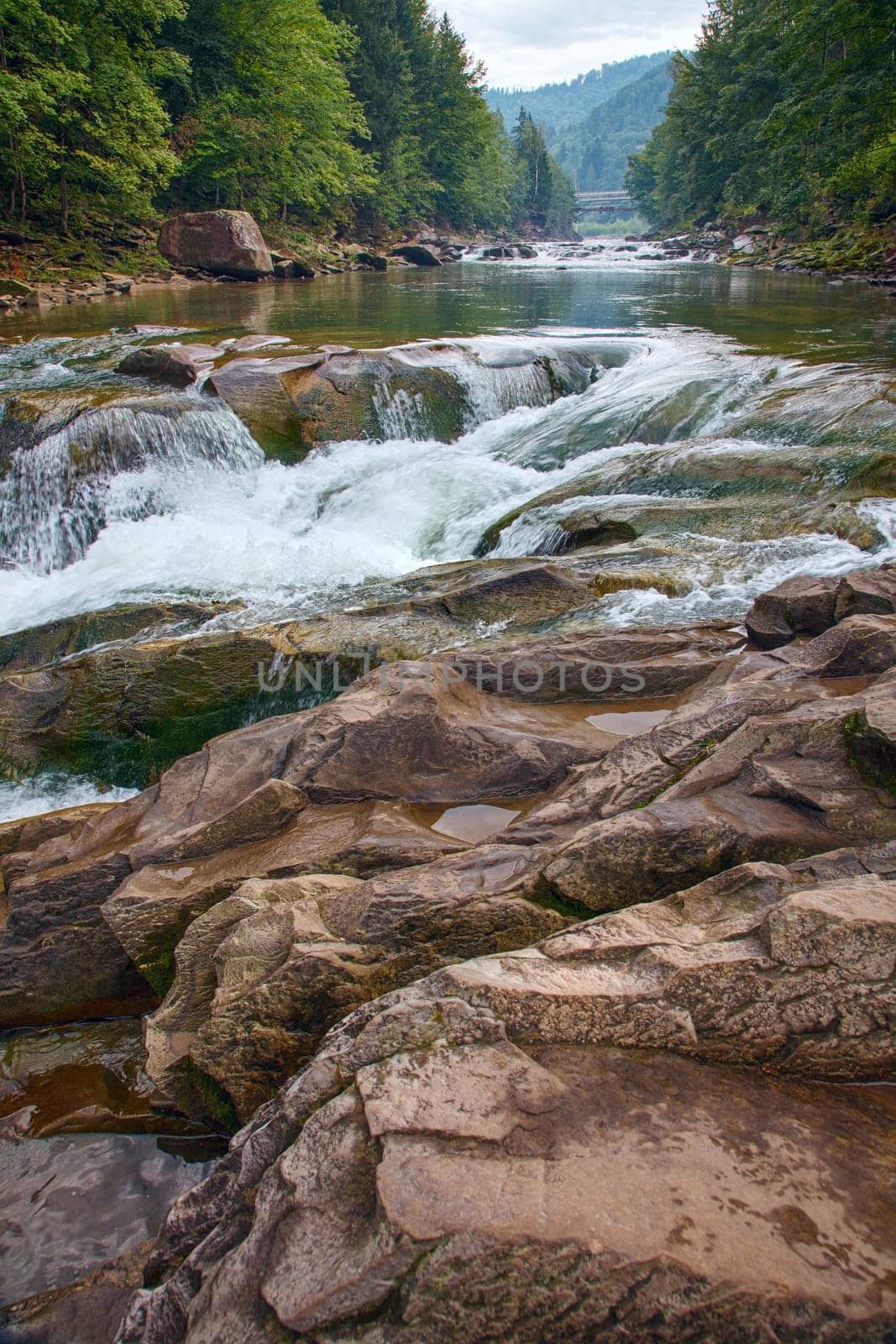 Fast river in a mountain forest on a sunny day