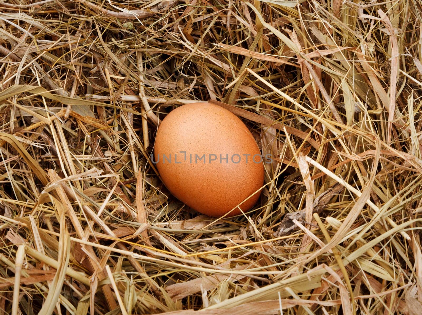 Natural egg in the nest of straw