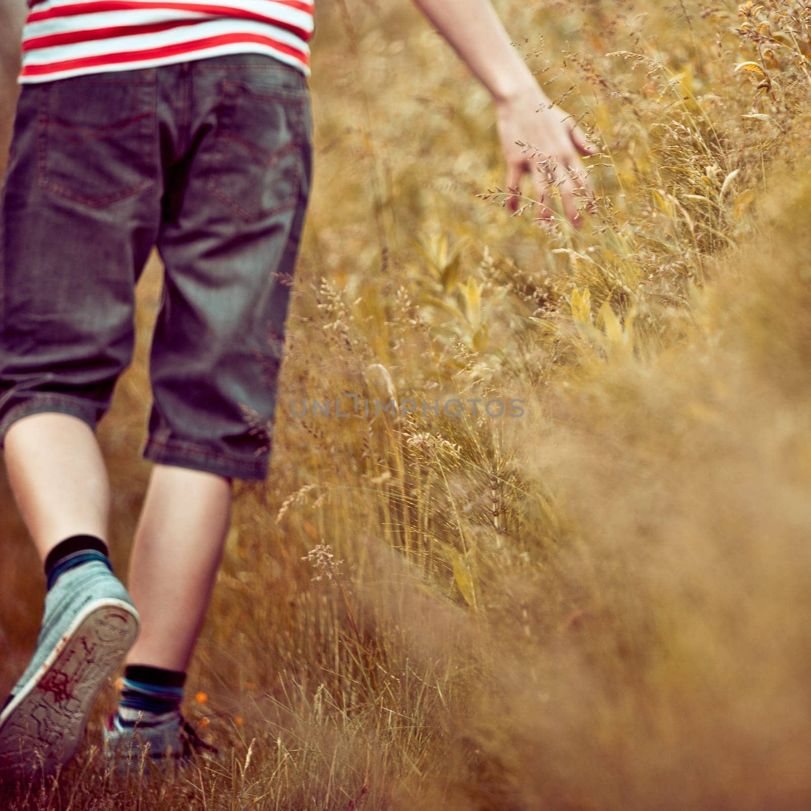 Young man walking through a grassy field trailing his hand through the flowering inflorescences, low angle view from behind of his legs and hand