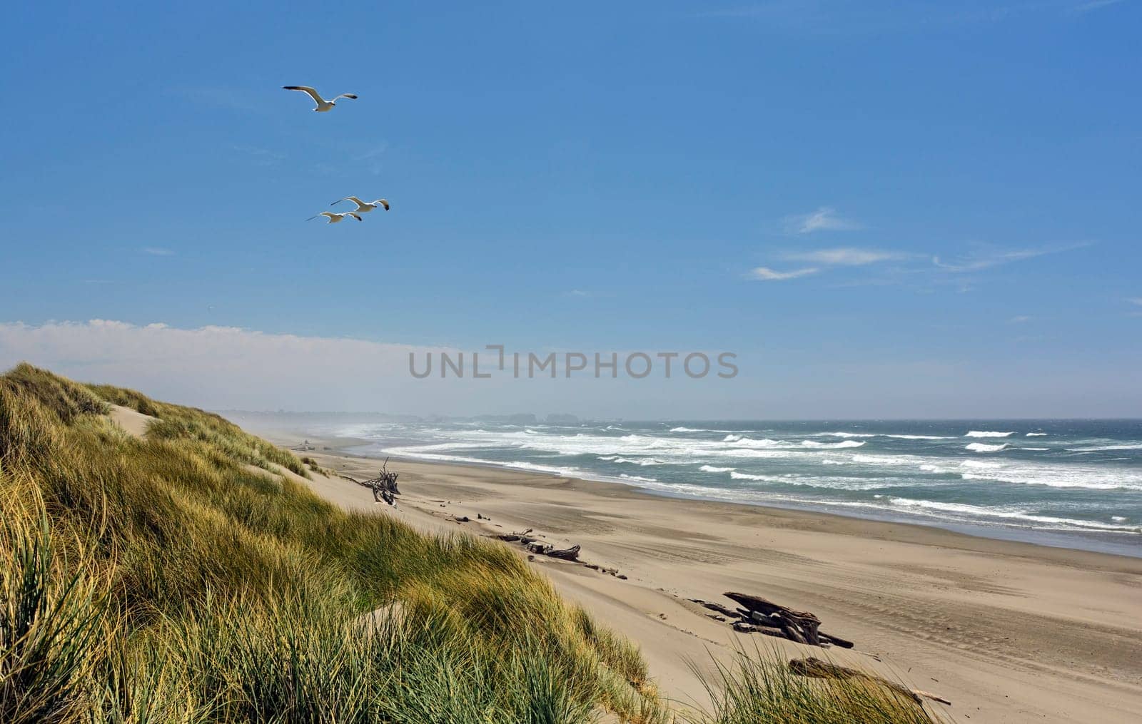 Bullards Beach on a Summer Day near Bandon, Oregon