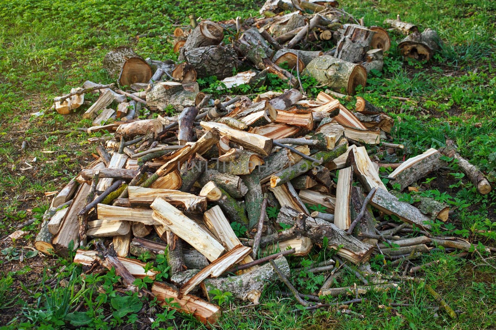 Stack of firewood in garden on the grass