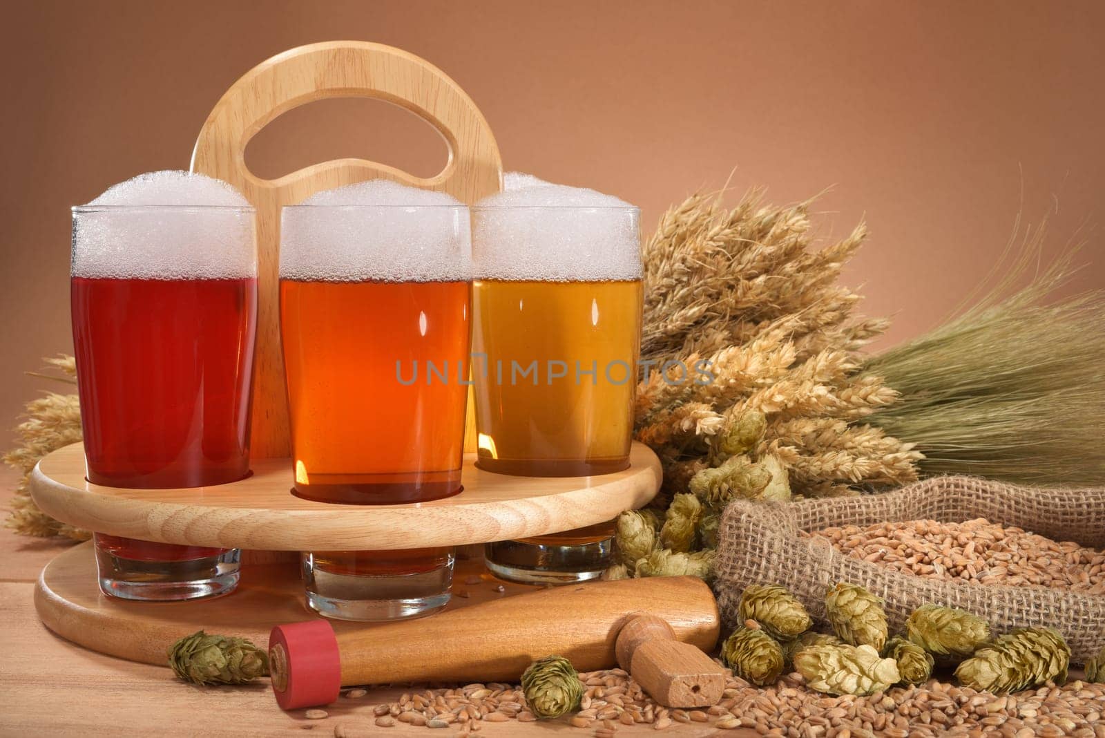 Beer carriers and beer glasses with wheat,barley,hops and malt
