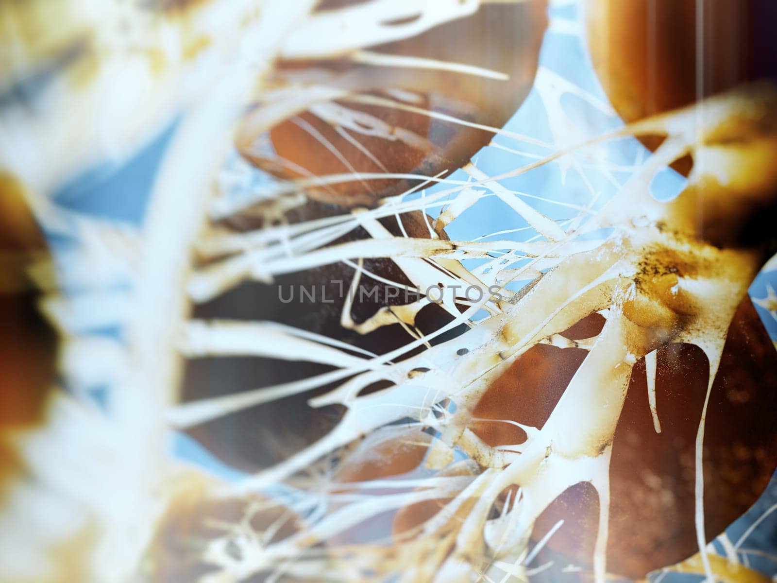 anatomical close-up of human brain cells