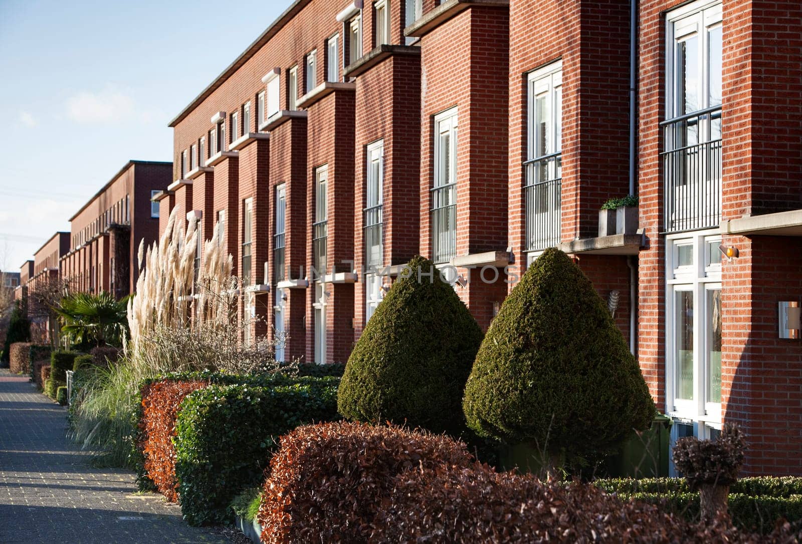 Residential district with apartments and small front gardens in Rotterdam
