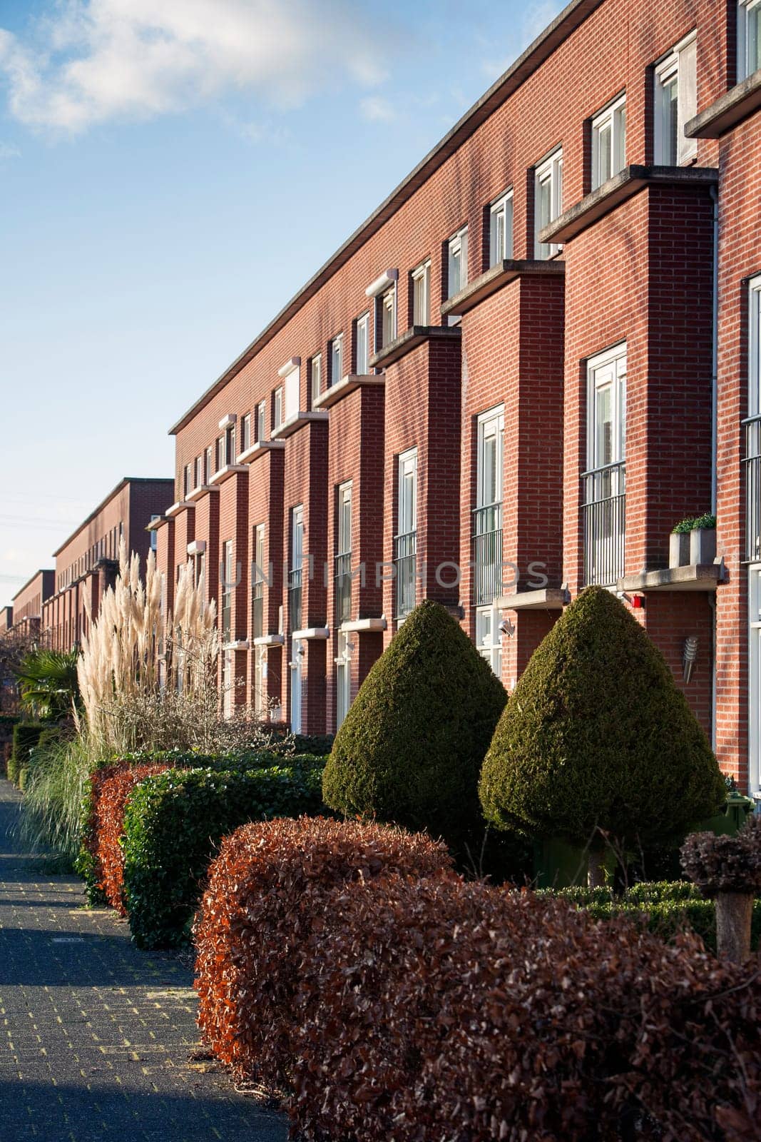 Residential district with apartments and small front gardens in Rotterdam