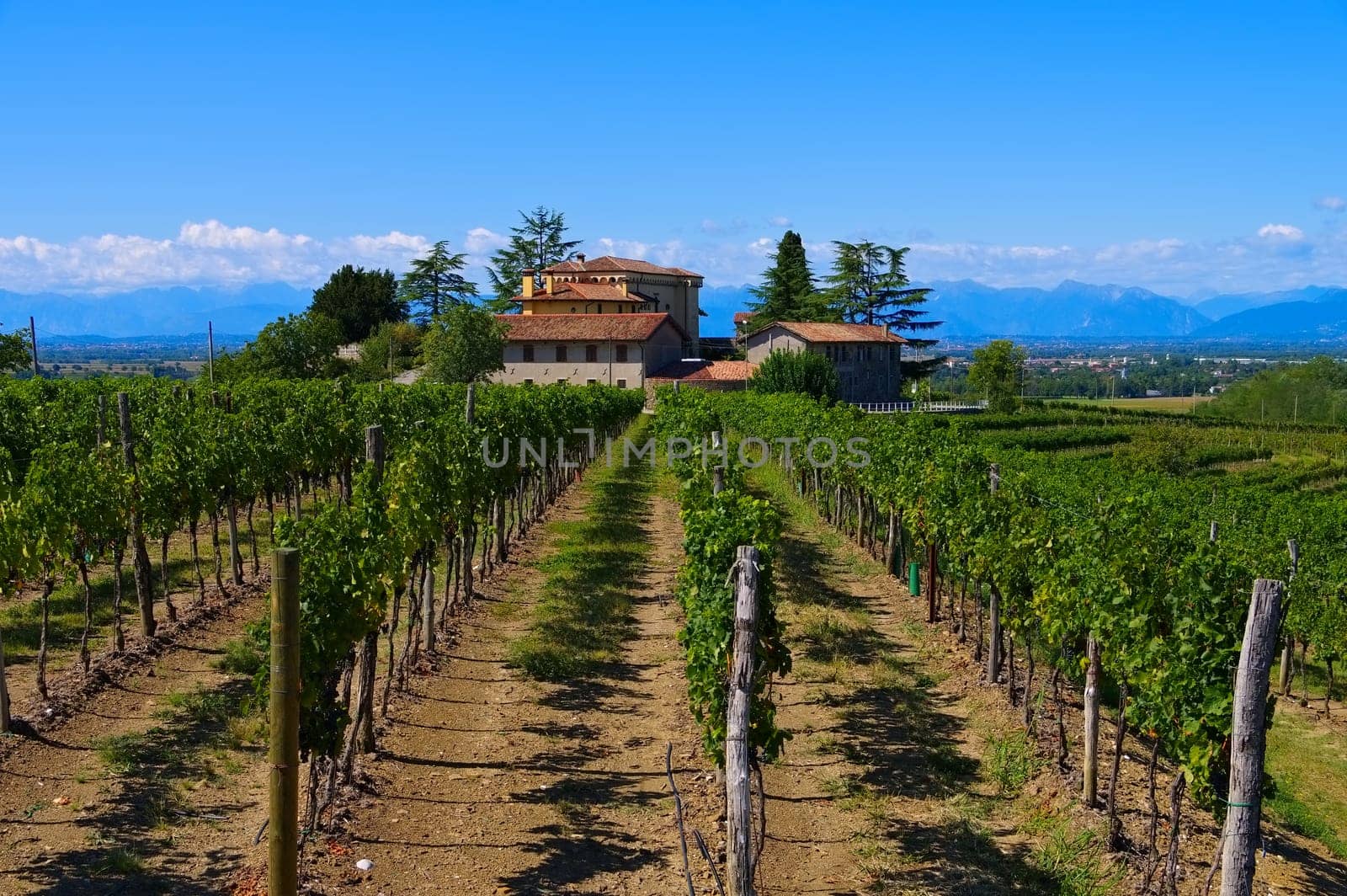 Friuli,Winery in Northern Italy - Friuli vineyard estate in Northern Italy