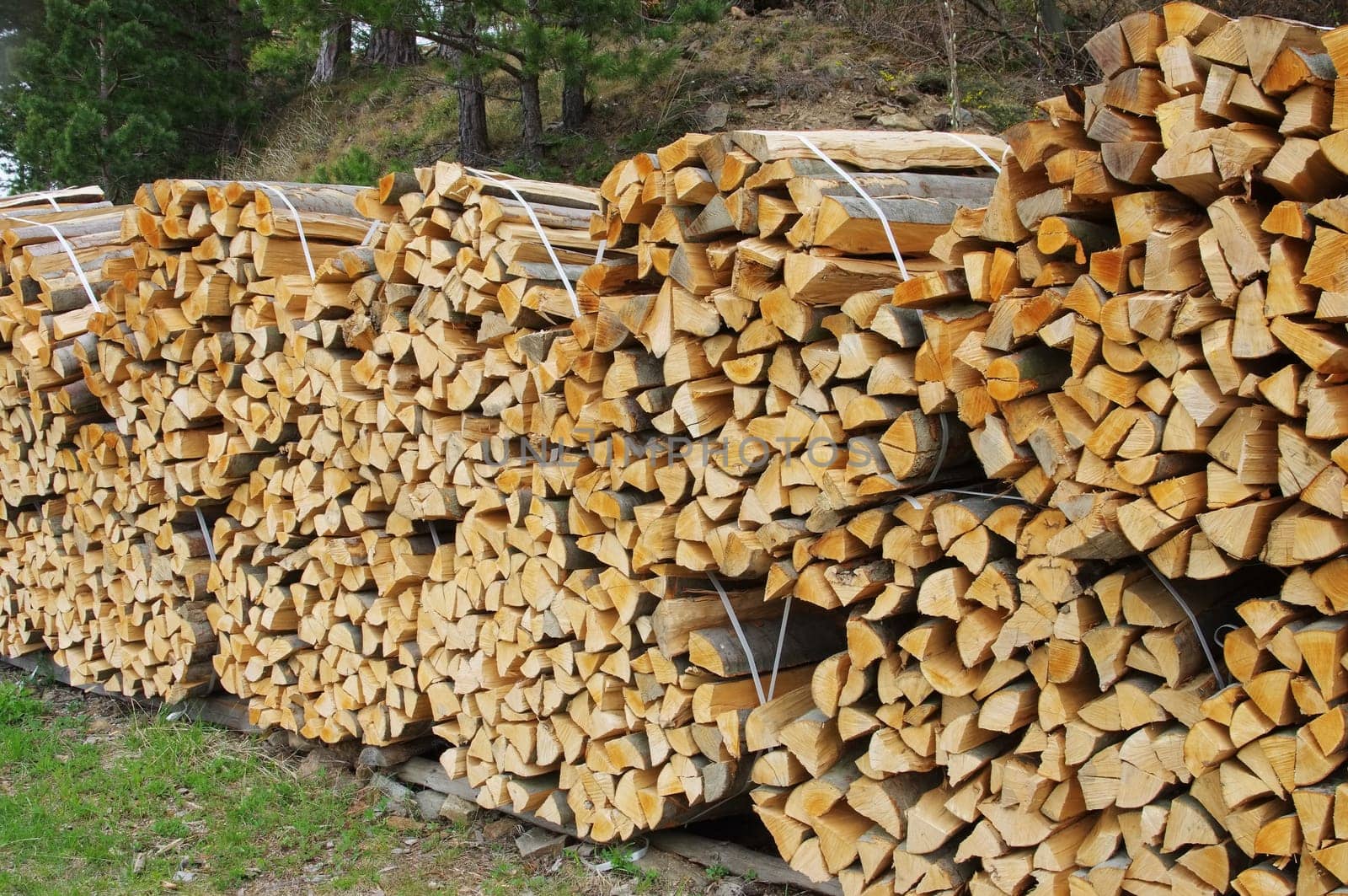 Wooden stack - stack of wood 46