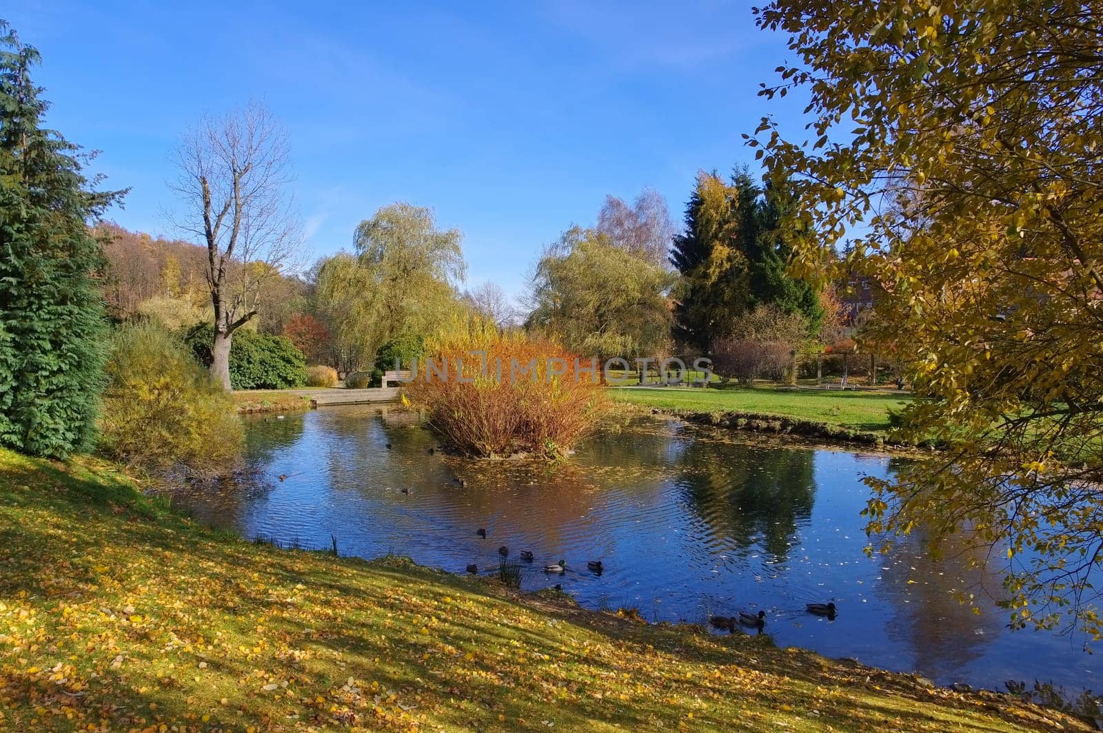 Jonsdorf Park in autumn in the Zittauer Gebirge - Jonsdorf Park in fall in Zittau Mountains