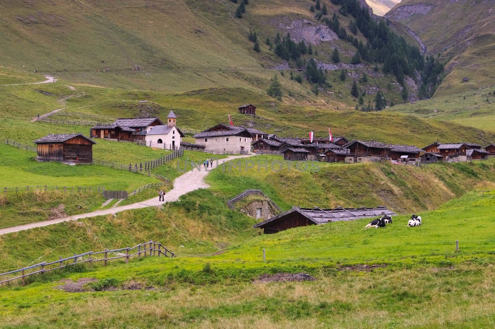Fane Alm in the Italian Dolomites - Fane Alp in italian Dolomites