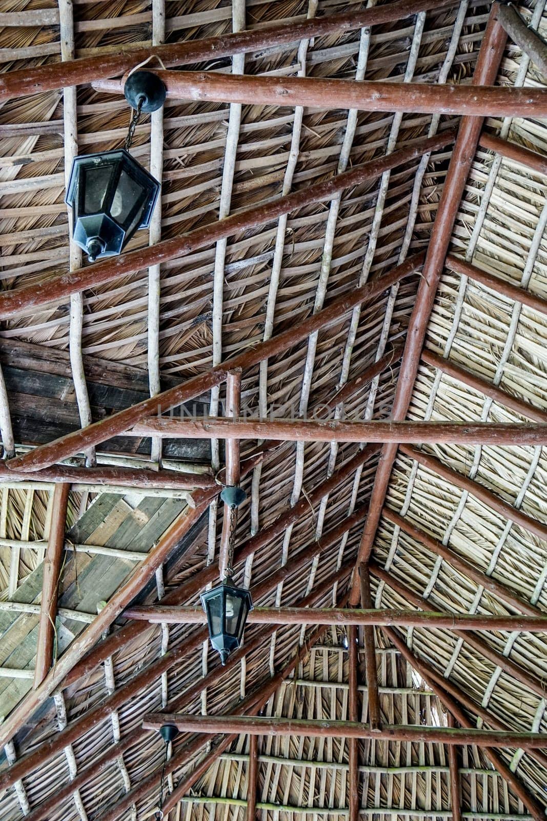 Roof made of dry palm leaves, back side with wooden beams