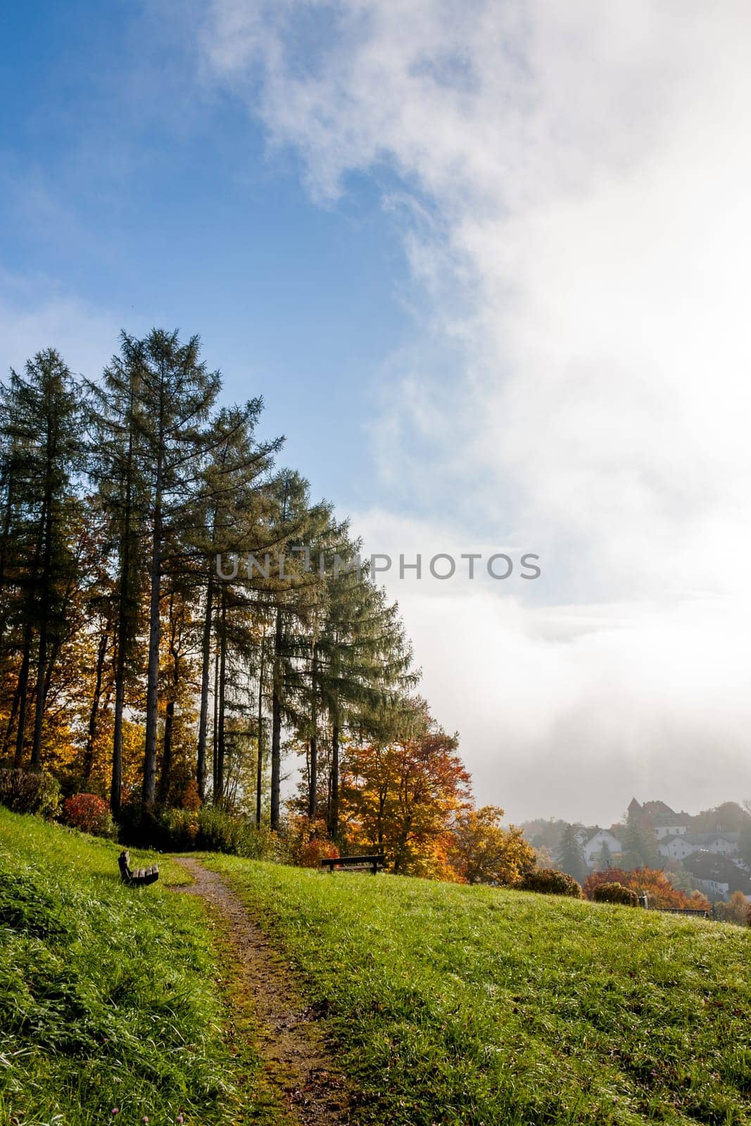 Brightly colored trees,blue sky,sunshine and fog in autumn