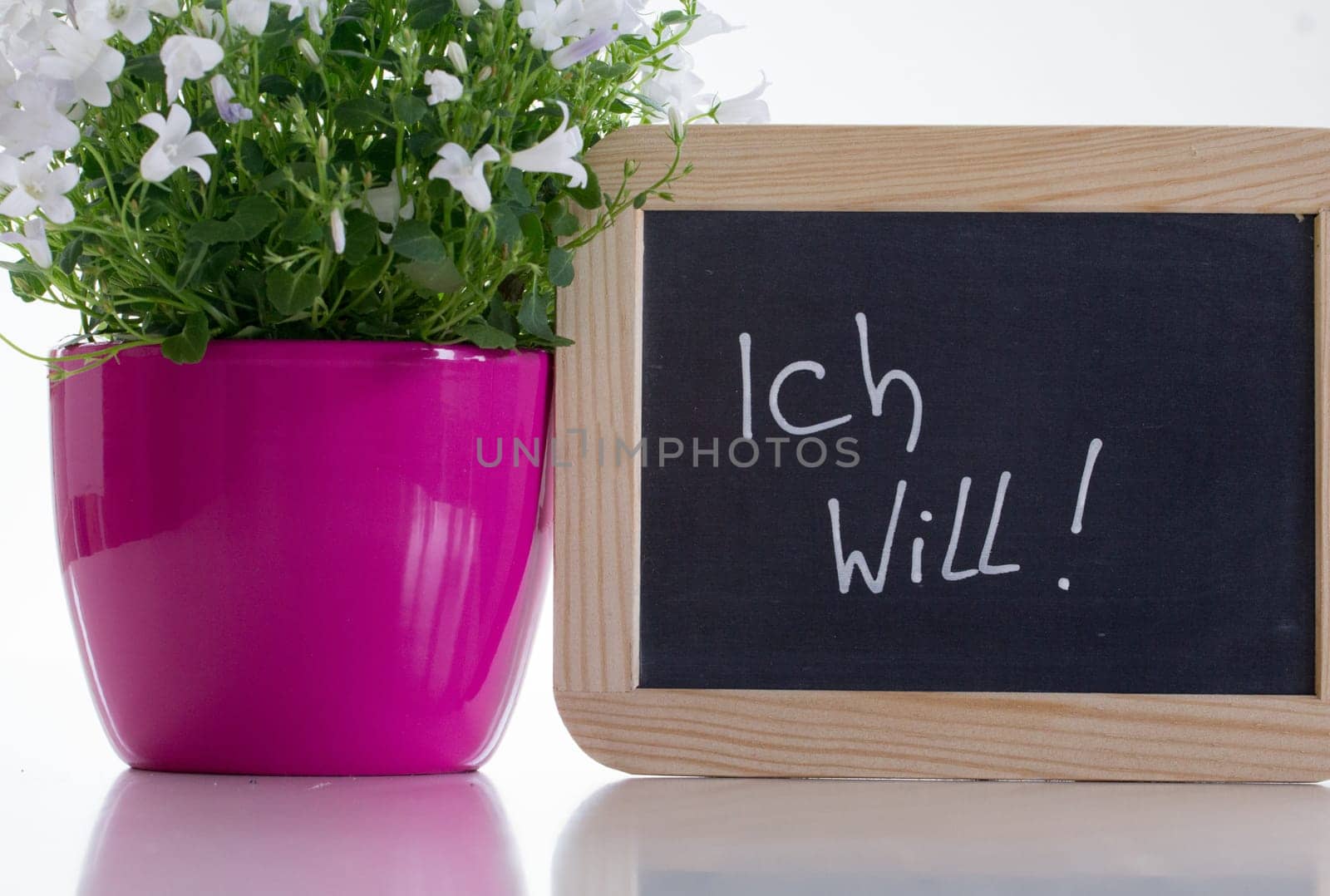 A pink planter with a flower hanging on the little baby bump,next to it stands a slate board