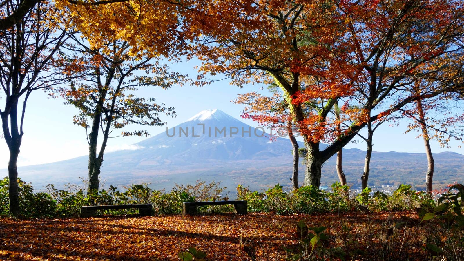 The fall season of Fuji mountain