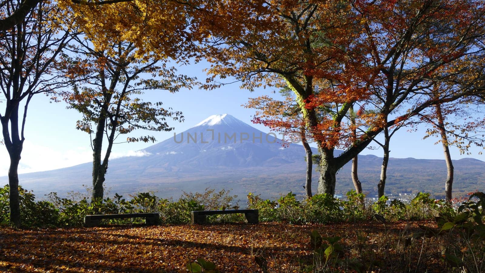 The fall season of Fuji mountain