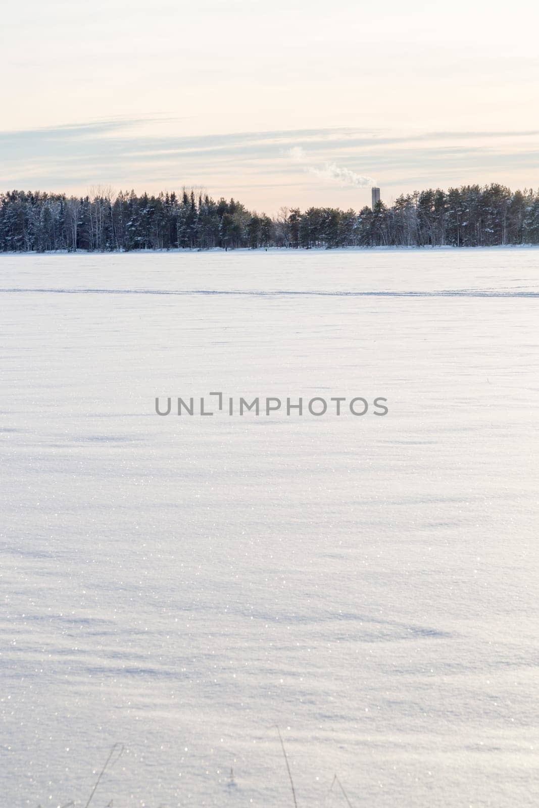 Snow Covered Lake with Trees and an industry building in the background.