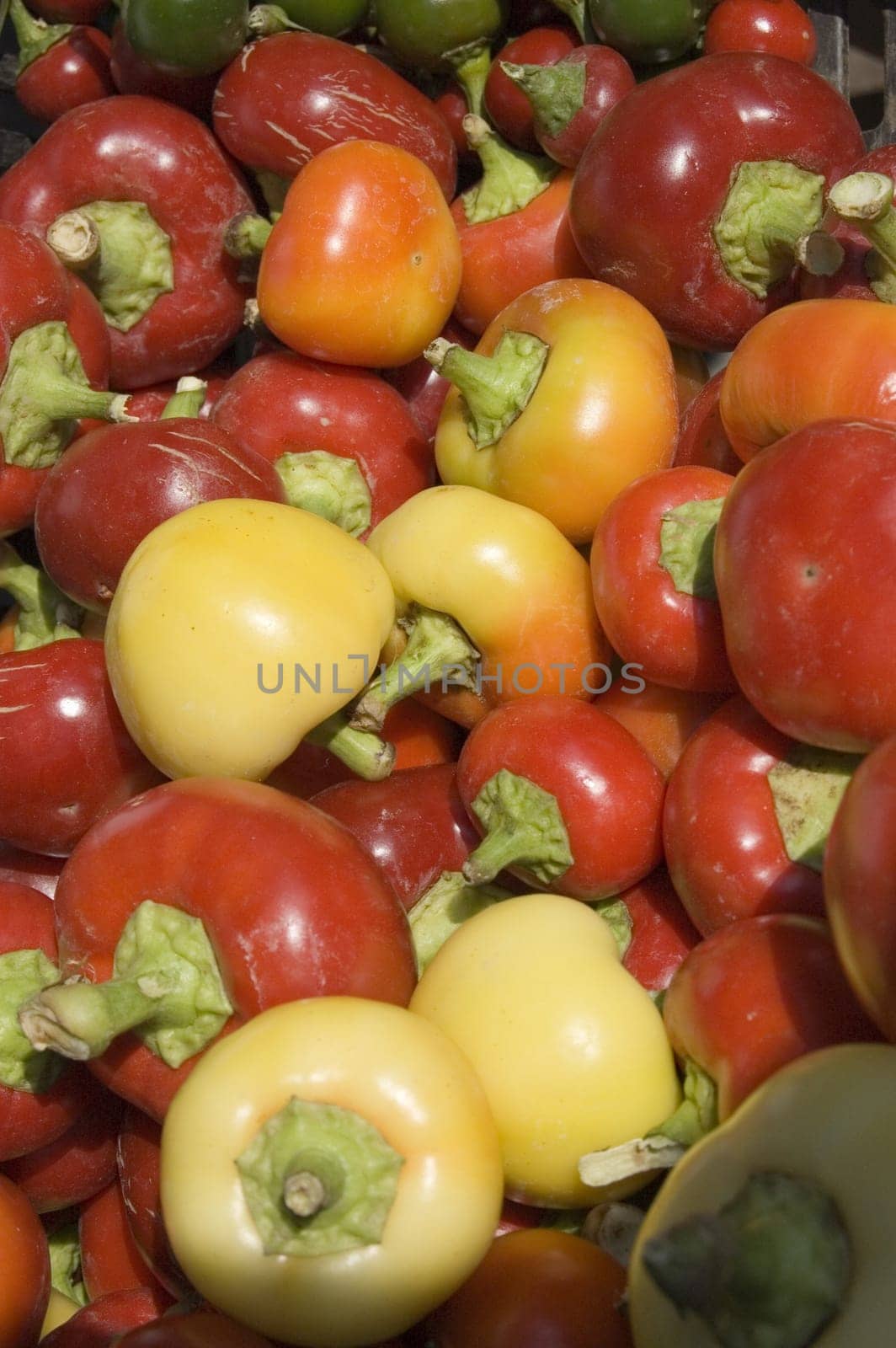 Peppers on market