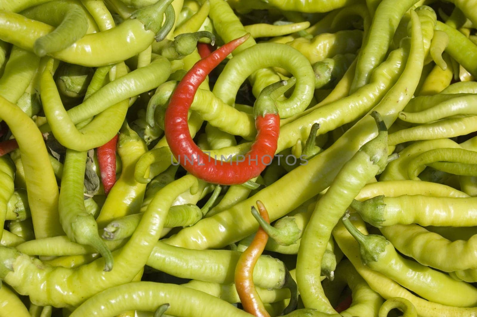 Chilli peppers on market
