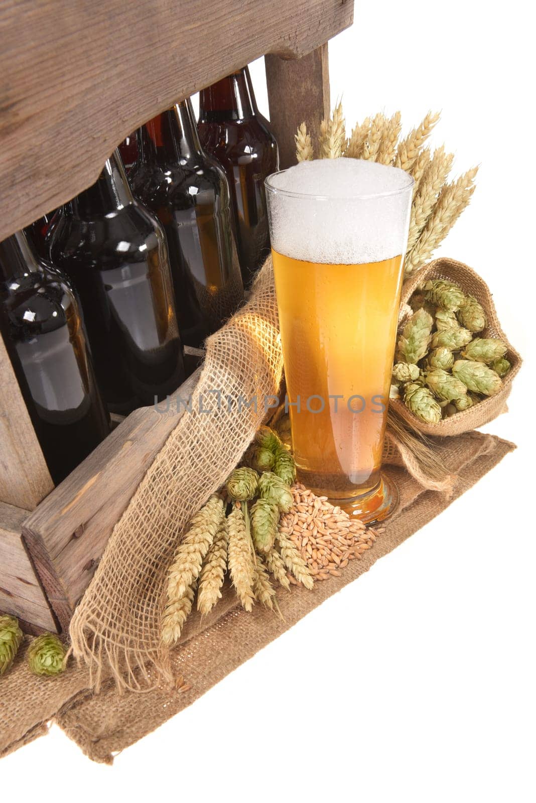 Beer box and beer glass with wheat,barley,hops and malt Insulated On White