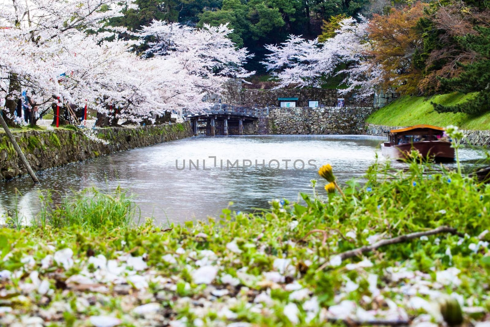 Kyoto, Japan - July, 12