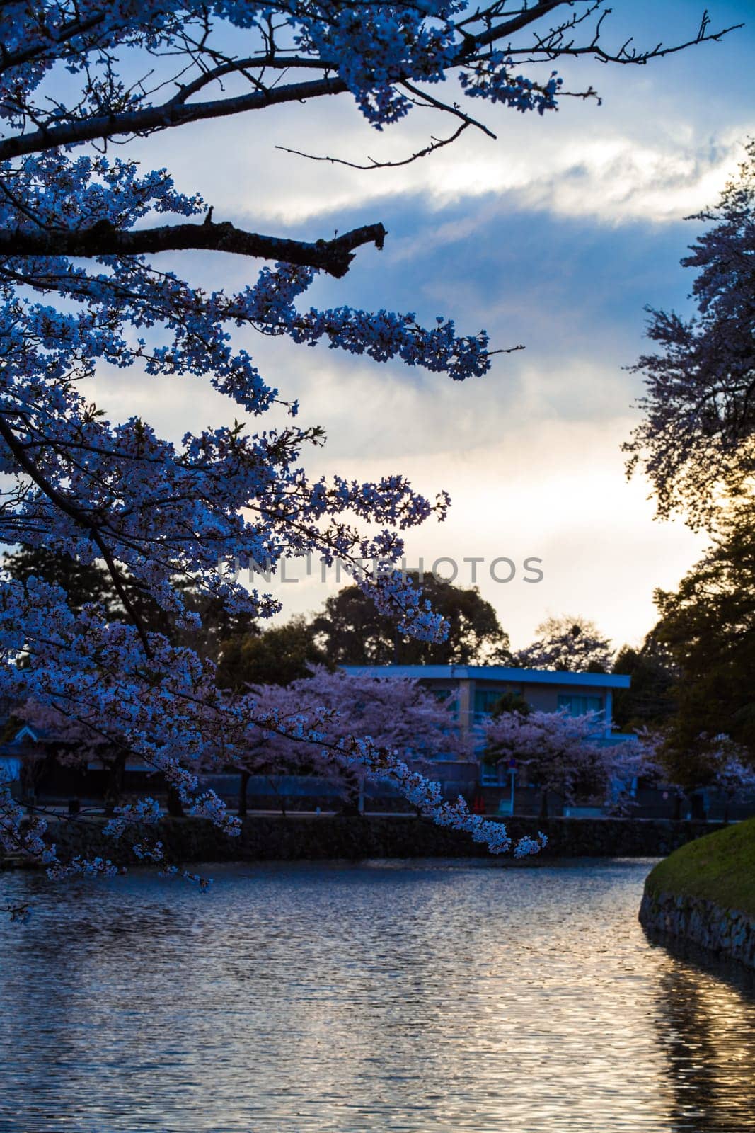 Kyoto, Japan - July, 12