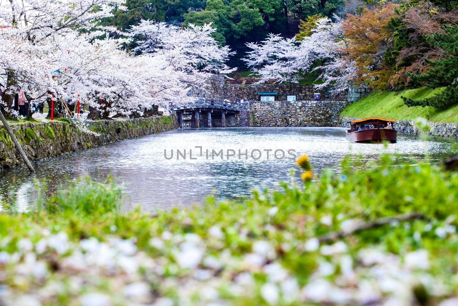 Kyoto, Japan - July, 12