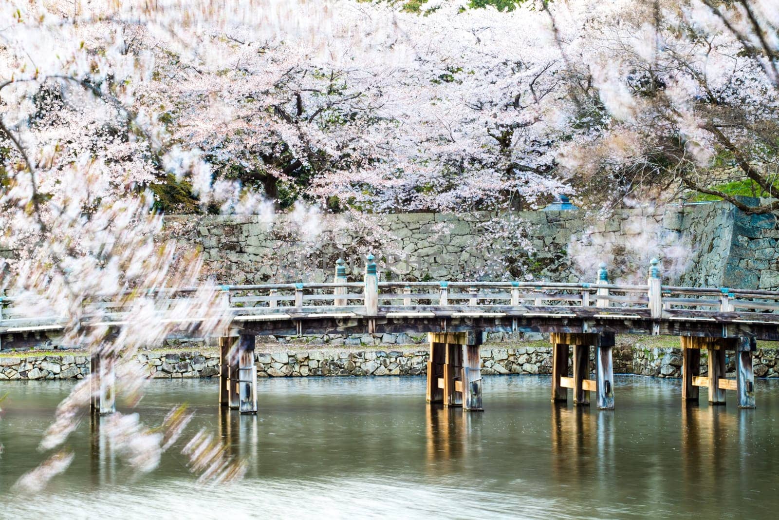 Kyoto, Japan - July, 12