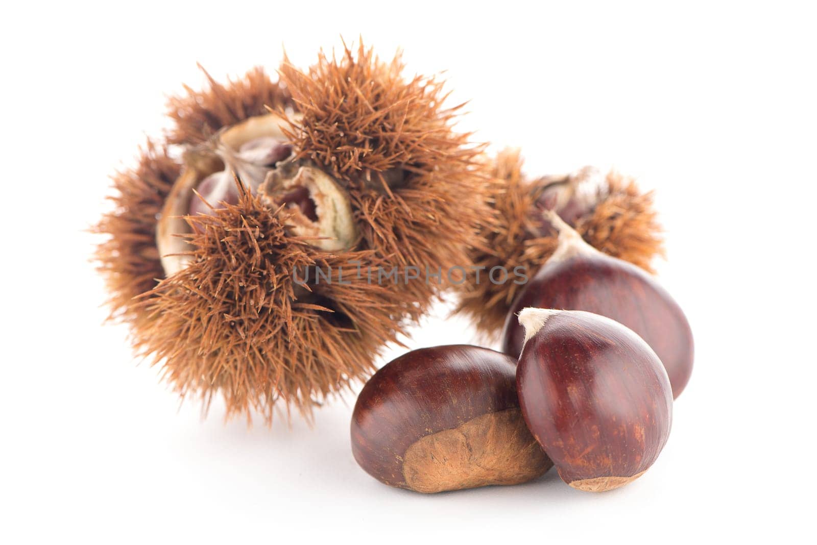 Chestnuts with shell isolated on white background.