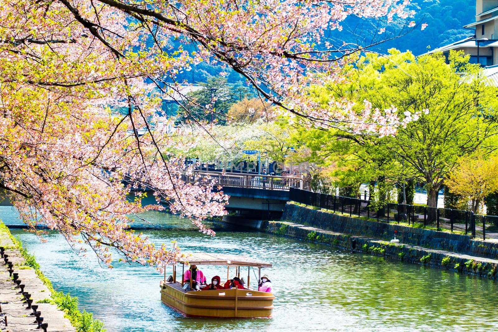 Kyoto, Japan - July, 12
