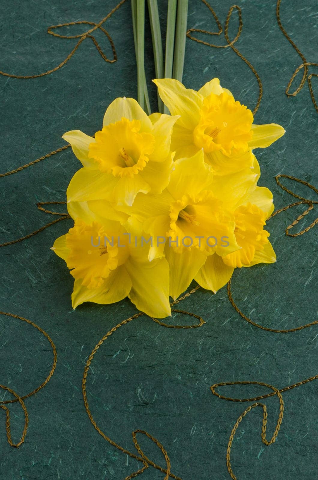 Yellow jonquil flowers on green background.