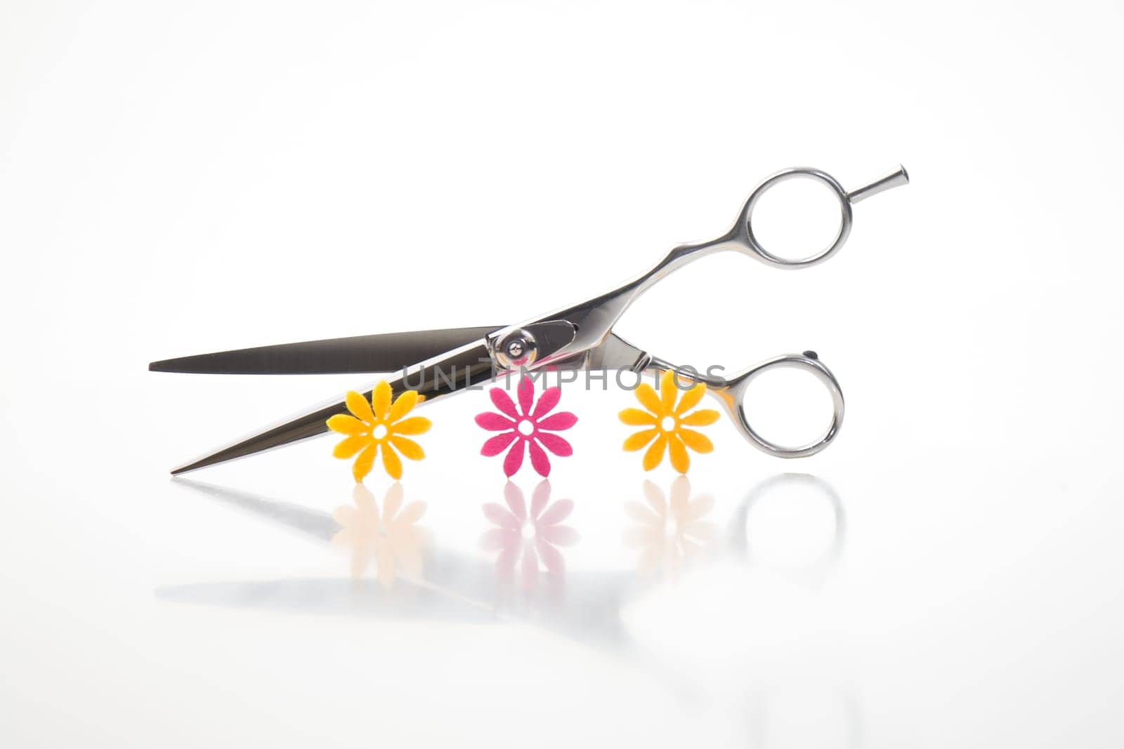 Time to cut,cut,section,divorce,divorce,separation,separation,cut,hairdresser.