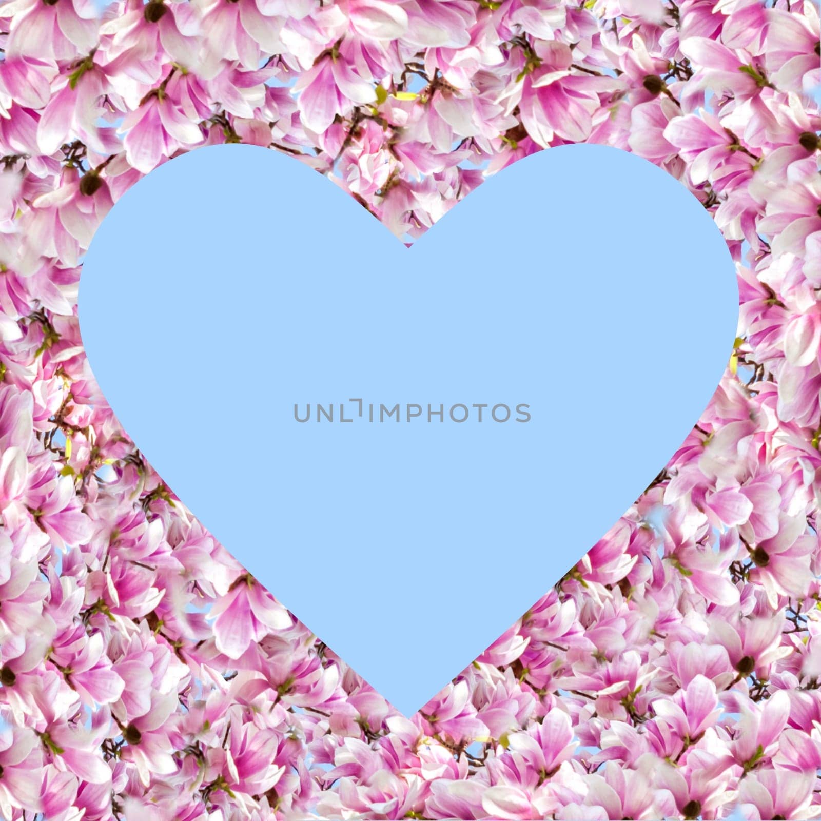 A blue heart with a frame made of magnolias