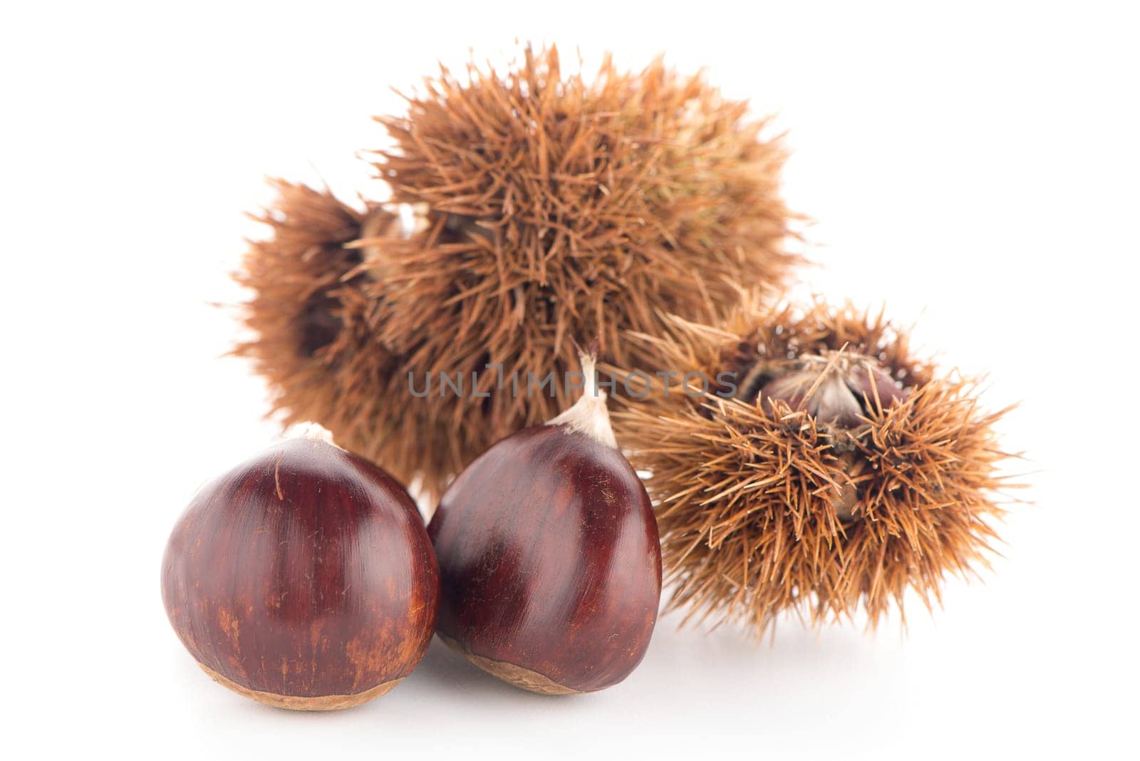 Chestnuts with shell isolated on white background.