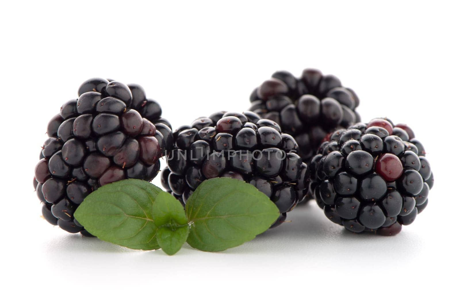 Blackberries with leaves isolated on white background.