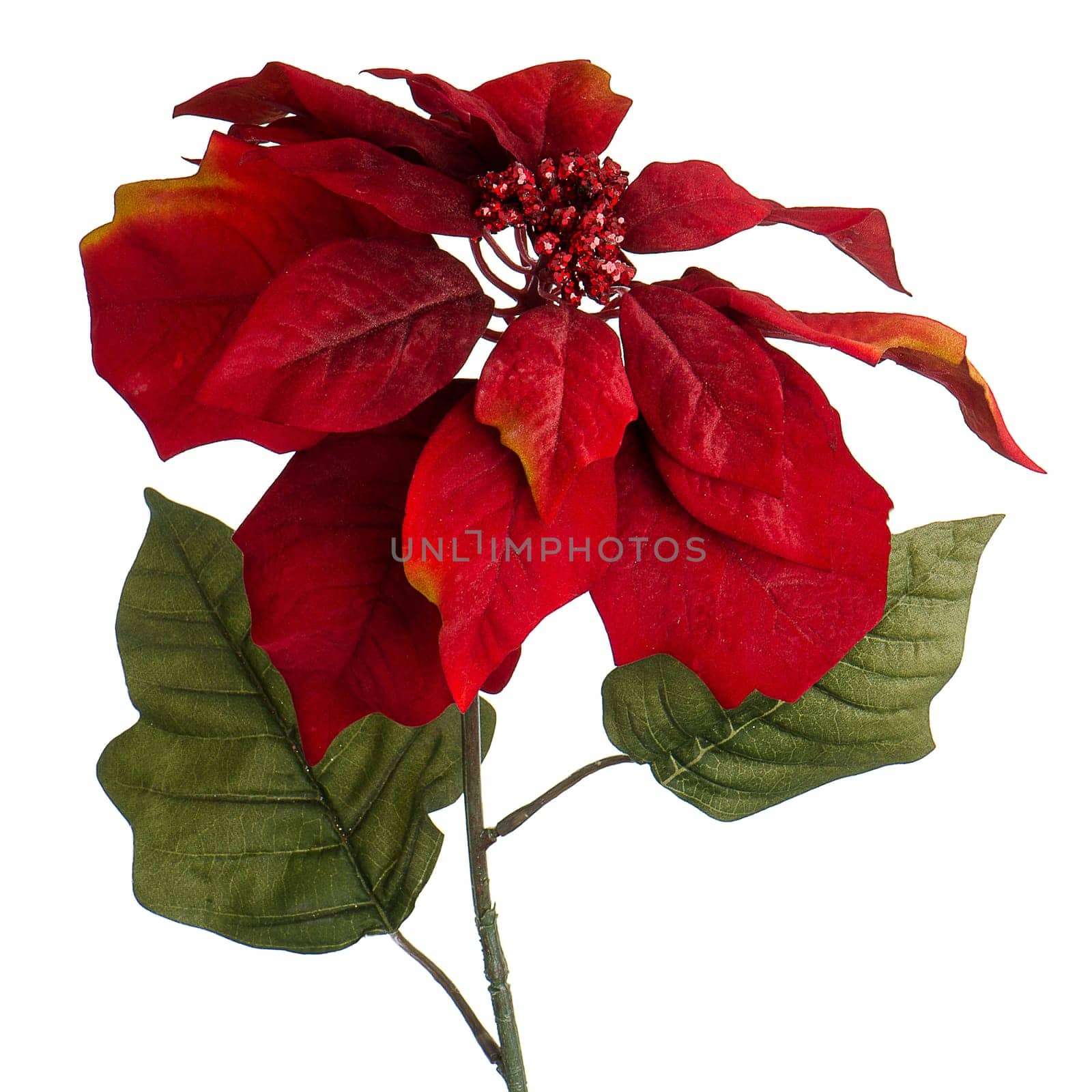 Red Christmas decoration isolated  on white background.