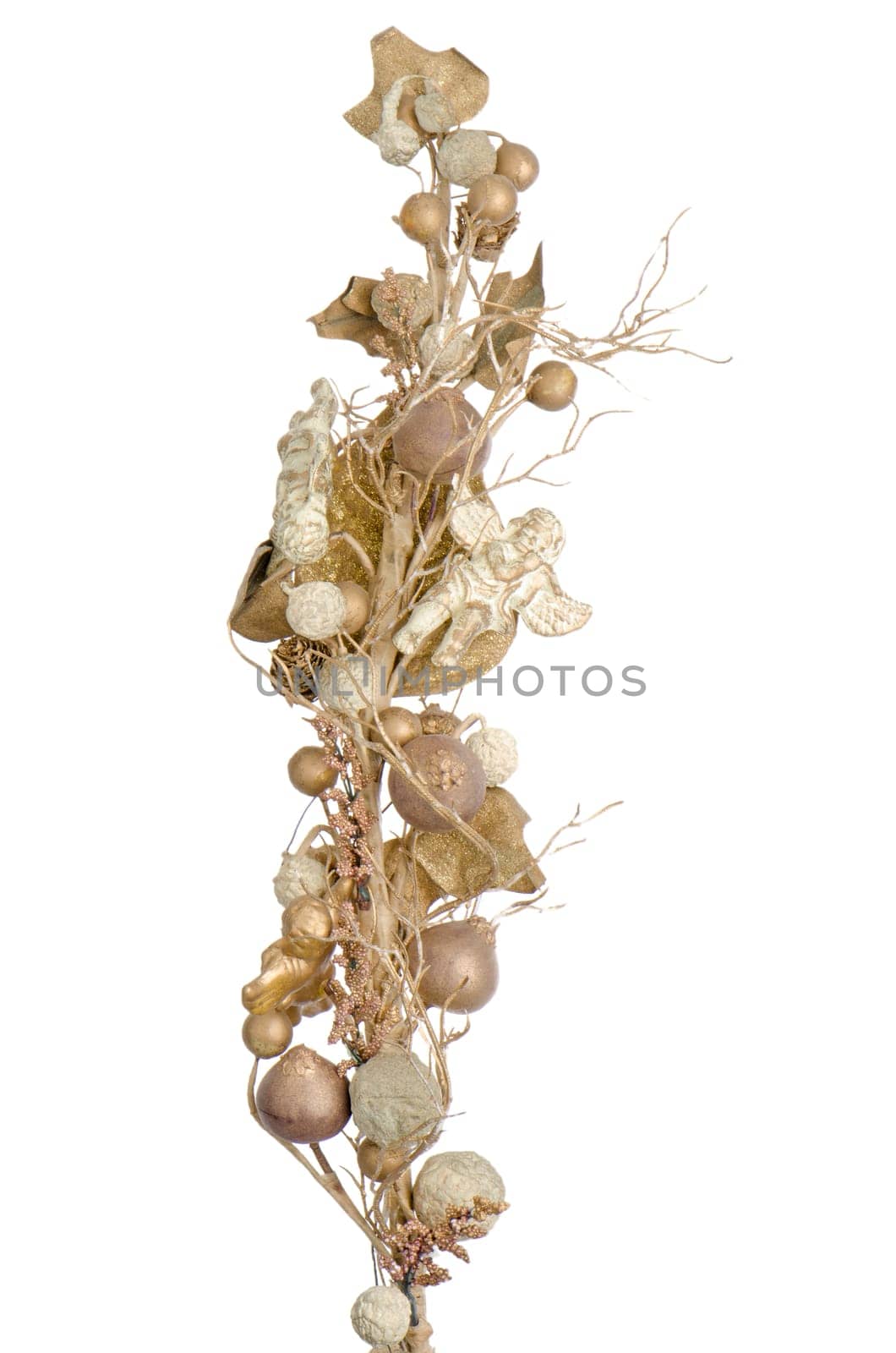 Golden Christmas decoration branches on white background.