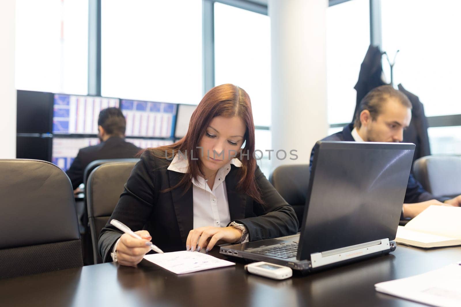 Businesspeople working on laptops in modern office.