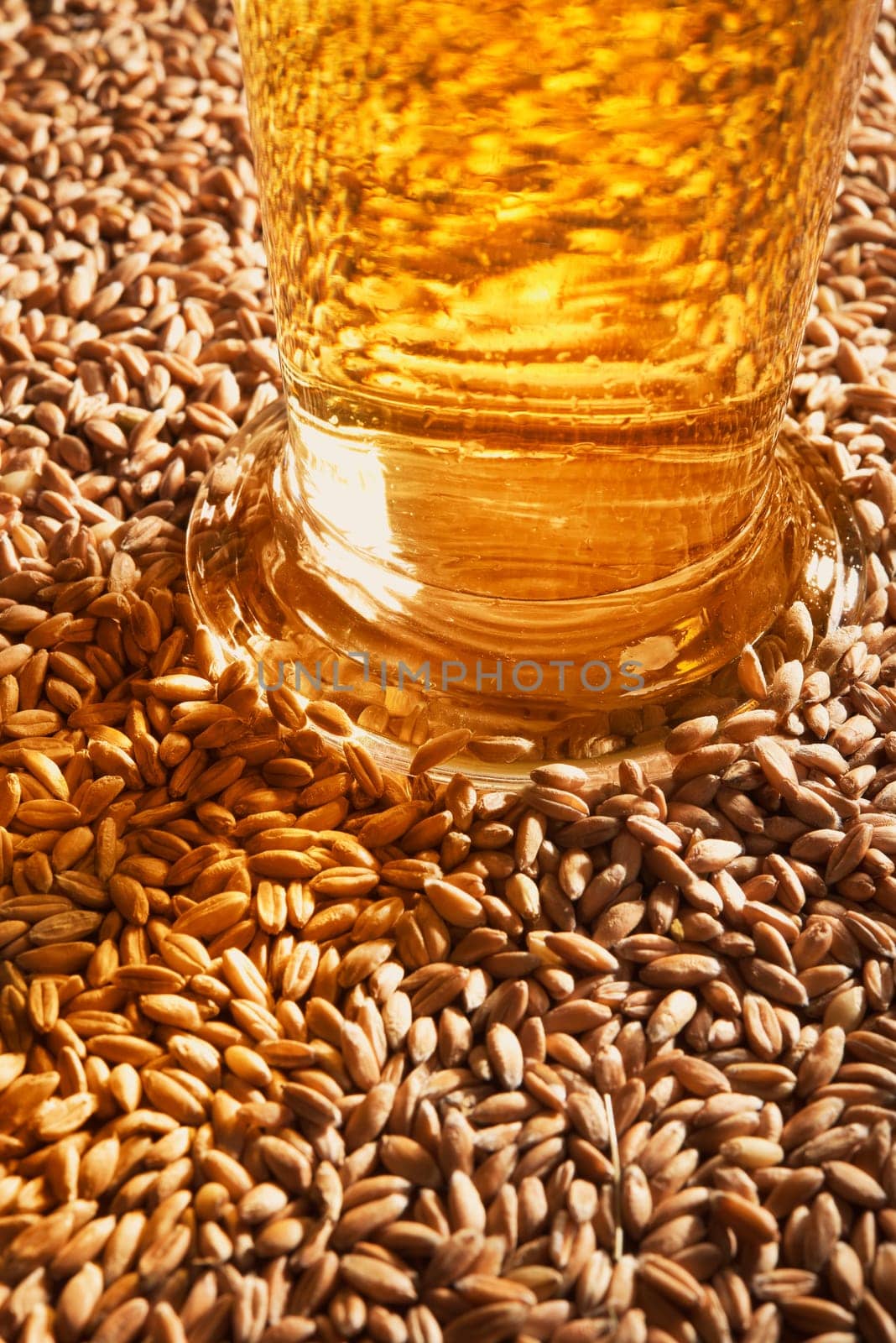 Close-up of a beer glass with wheat,cereals,barley,malt