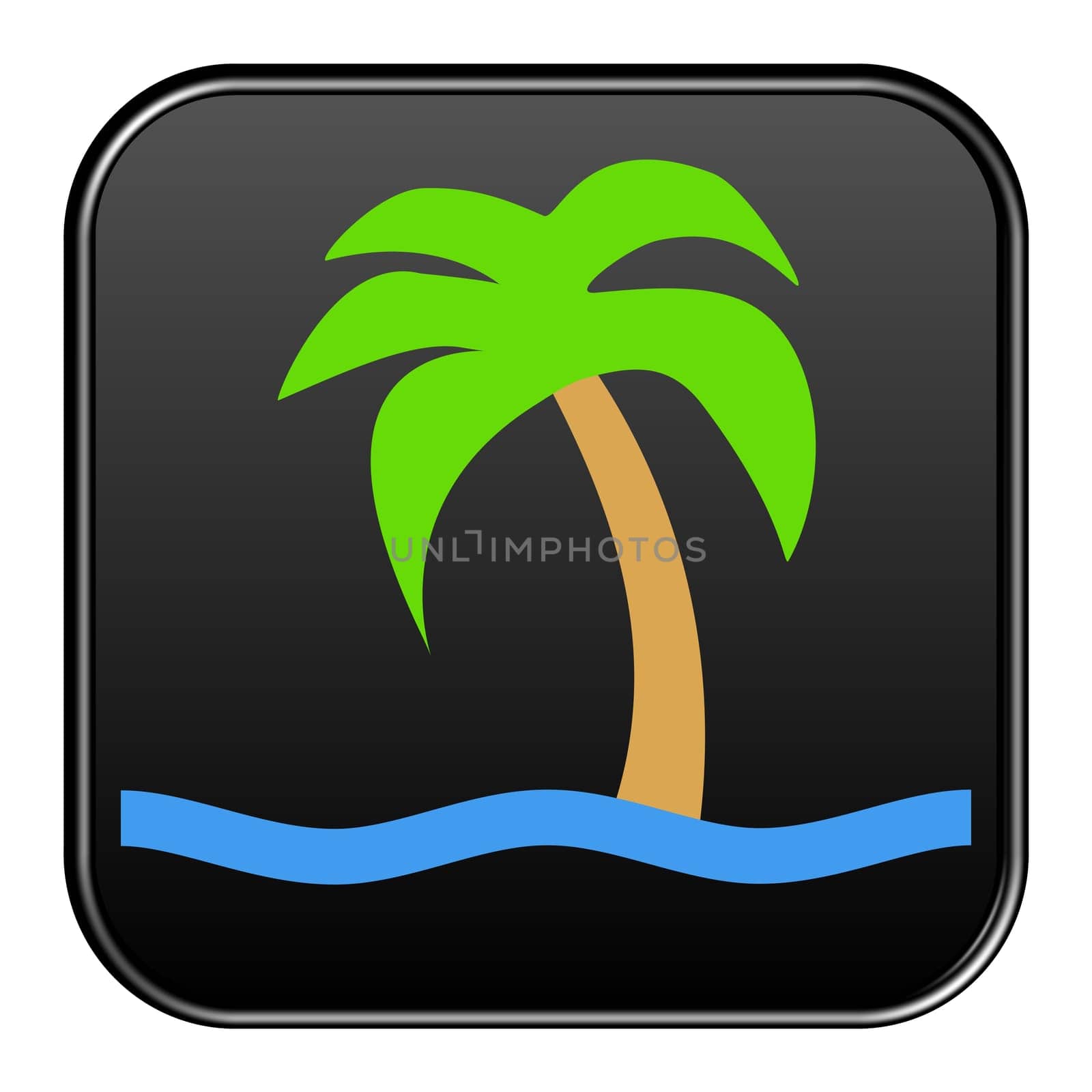 Black insulated button shows palm tree with water